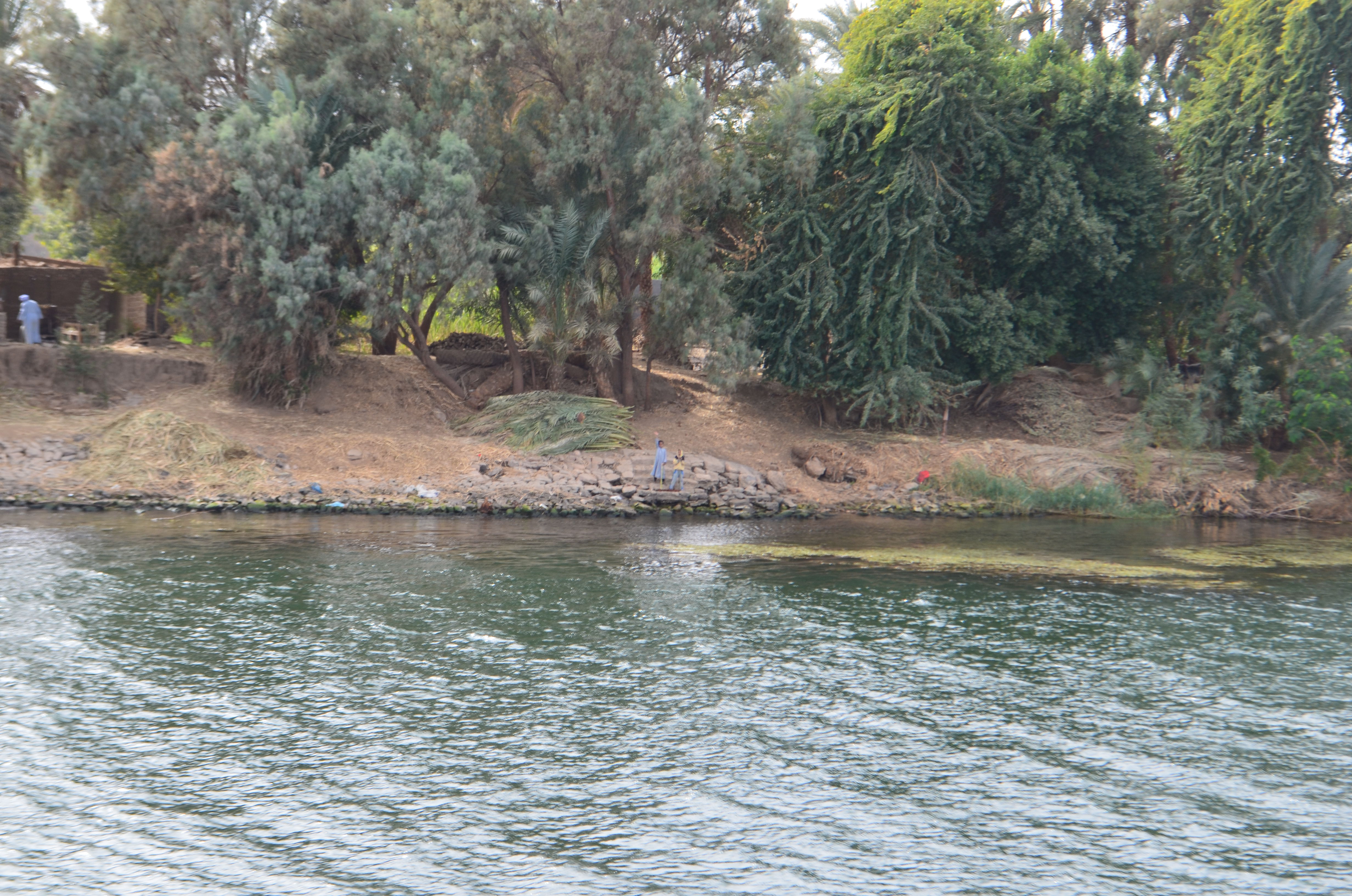 ./2018/16 - Egypt/11 - Edfu/DSC_0992.JPG